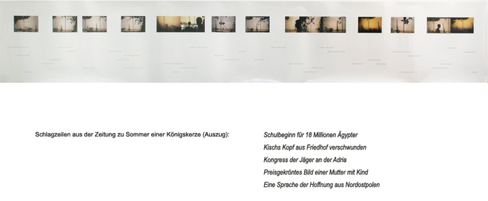 Dossier: Königskerze 2002 / Bild: 379