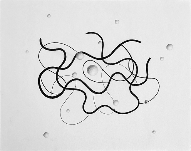 Dossier: Adonde (terrain vagues) 2023/24 / Bild: 734